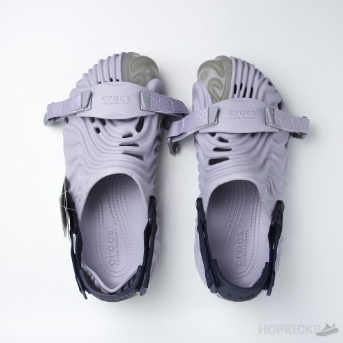 sea urchin crocs